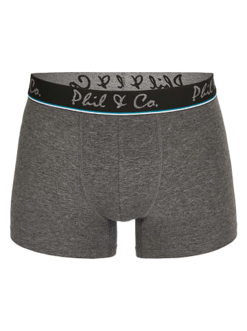 Phil & Co. Berlin 2er-Set: Boxershorts in Grün/ Grau