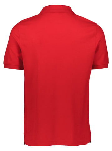 Daniel Hechter Koszulka polo w kolorze czerwonym