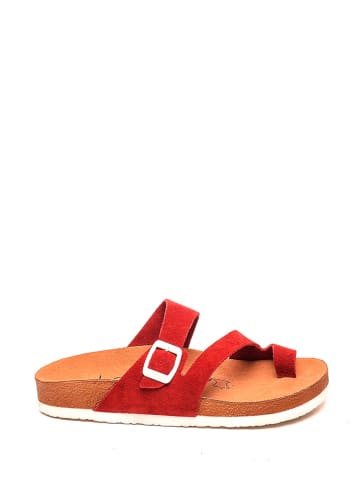 Moosefield Leren teenslippers rood