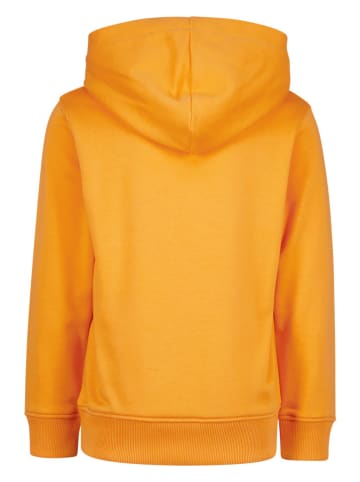RAIZZED® Hoodie "Newfield" in Orange