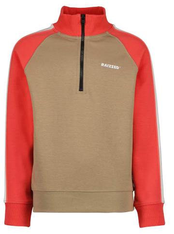 RAIZZED® Sweatshirt "Parsons" in Hellbraun