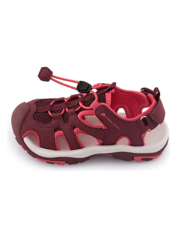 Alpine Pro Halbsandalen "Lamego" in Bordeaux/ Pink