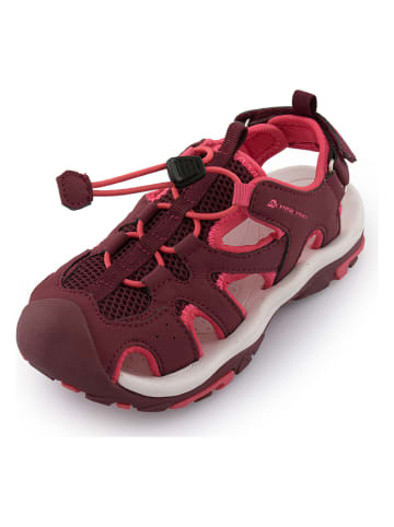 Alpine Pro Enkelsandalen "Lamego" bordeaux/roze