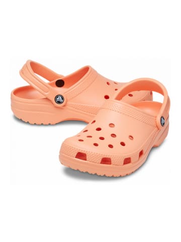 Crocs Crocs oranje