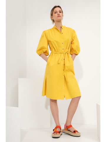 Josephine & Co Sukienka "Greta" w kolorze żółtym