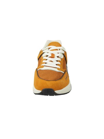 GANT Footwear Leder-Sneakers "Carst" in Gelb