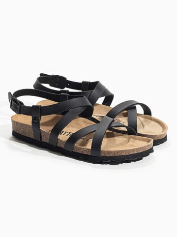 BAYTON Sandalen "Vanina" in Schwarz