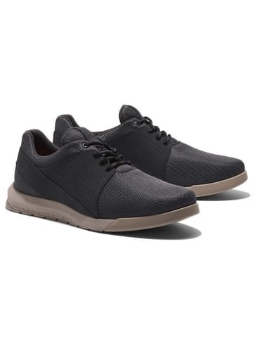 Timberland Sneakers "Killington Ultra Low" in Anthrazit