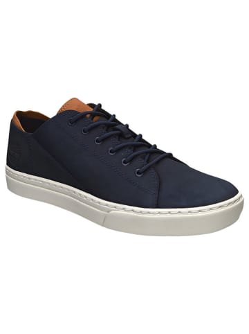 Timberland Leren sneakers "Adv 2.0 Cupsole" donkerblauw