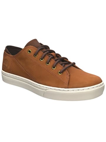 Timberland Leder-Sneakers "Adv 2.0 Cupsole" in Hellbraun
