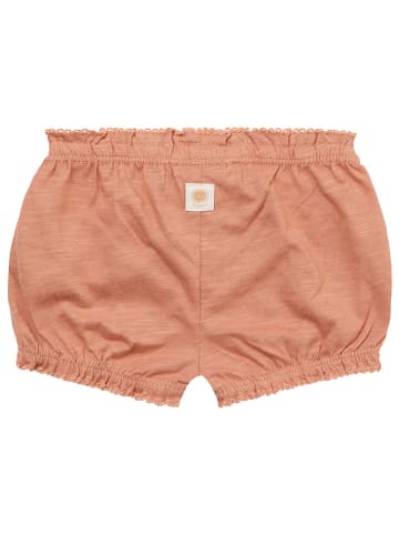 Noppies Shorts "Norman" in Altrosa