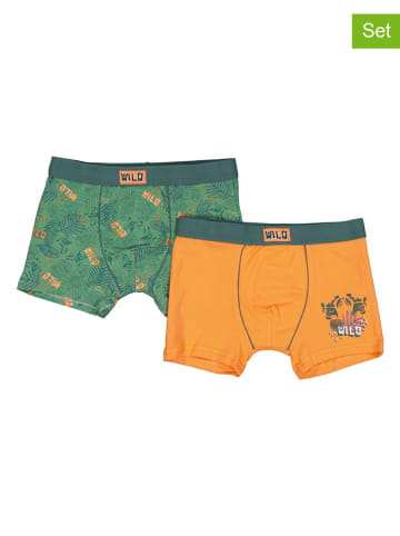 Petit Beguin 2-delige set: boxershorts groen/oranje