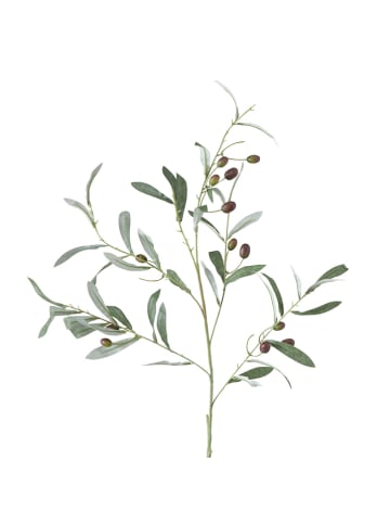 Boltze Decoratieve tak "Olivenbaum" groen - (L)77 cm