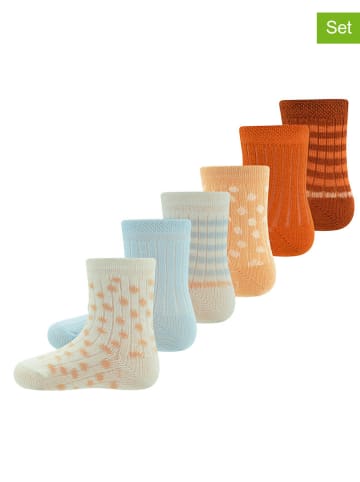 ewers 6-delige set: sokken "Ringel" meerkleurig