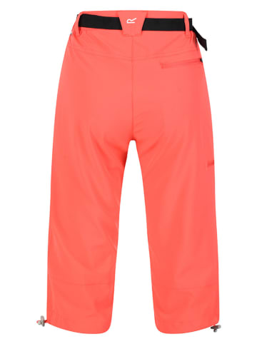 Regatta Spodnie funkcyjne "Xrt Light" w kolorze pomarańczowym