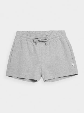 Outhorn Shorts in Grau