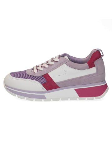 Caprice Sneakersy w kolorze różowo-lawendowym