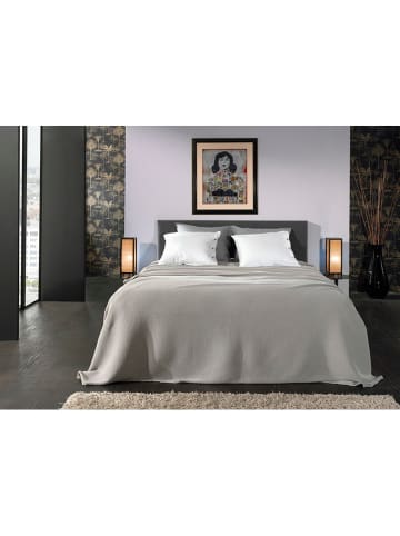 Yellow Pled w kolorze szarym