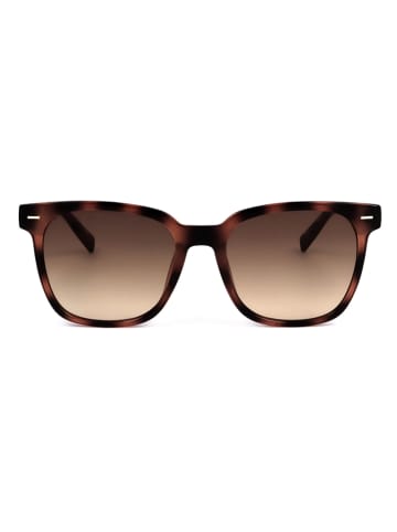 Calvin Klein Dameszonnebril havana