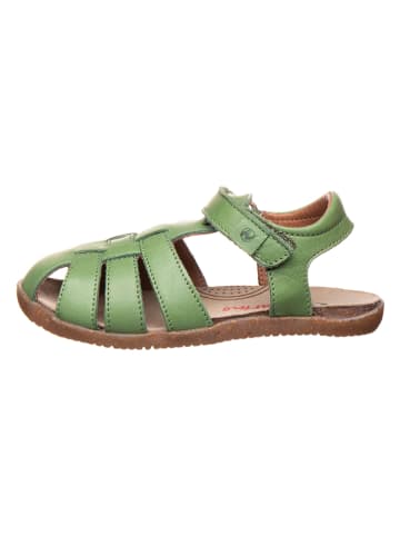 Naturino Leren enkelsandalen "Scout" kaki