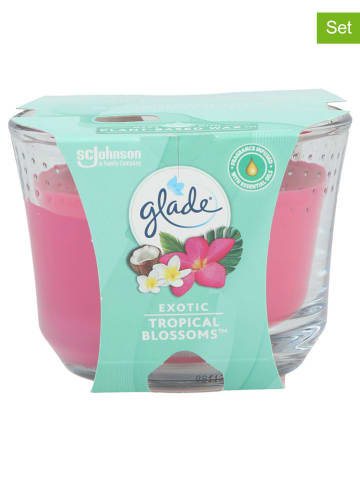 glade 2er-Set: Duftkerze - Exotic Tropical Blossoms - 2x 224 g