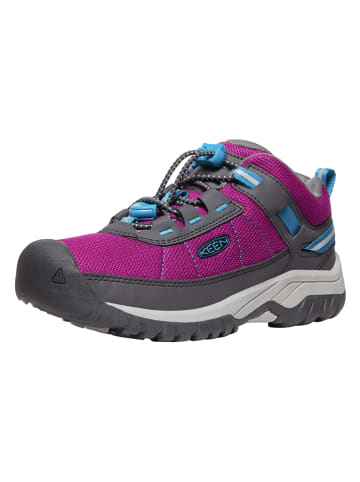 Keen Trekkingschoenen paars/zwart