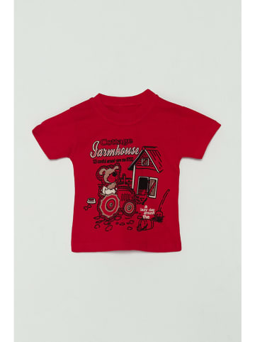 Jack & Roy Koszulka w kolorze czerwonym