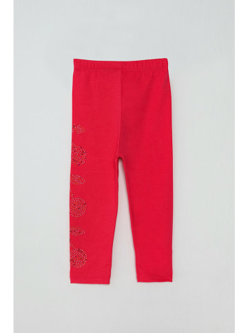 Jack & Roy Legging rood