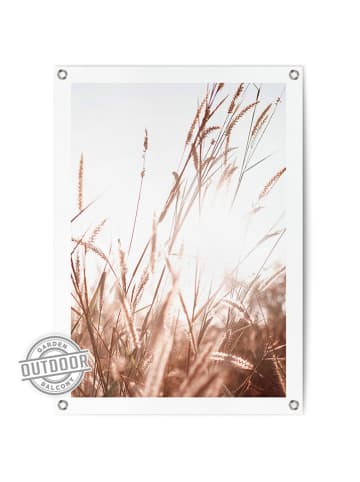 Orangewallz Kunstdruk op canvas "Sunlight Grasses" - (B)50 x (H)70 cm