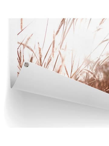 Orangewallz Kunstdruk op canvas "Sunlight Grasses" - (B)50 x (H)70 cm