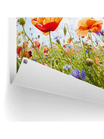 Orangewallz Druk "Poppy Summer Field" na płótnie - 50 x 70 cm