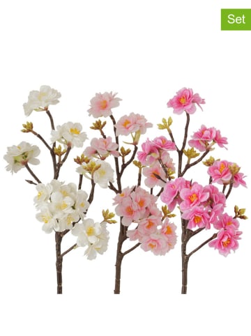 Boltze 3-delige set: decoratieve takken "Pampasgras" lichtroze/roze - (L)45 cm