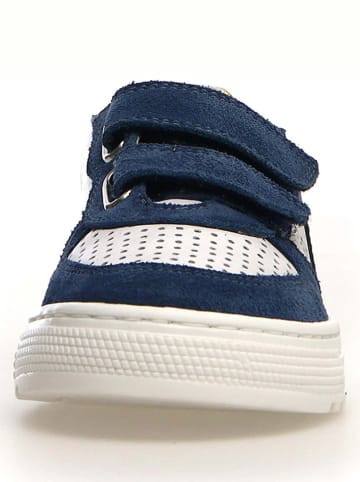 Naturino Leren sneakers "Hess" wit/donkerblauw