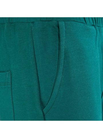 Blue Effect Shorts in Grün