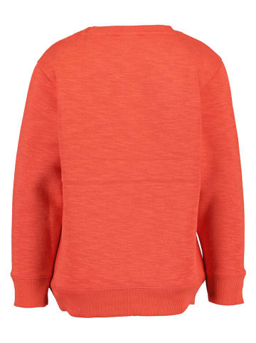 Blue Seven Sweatshirt in Rot