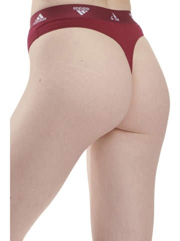 adidas String in Bordeaux