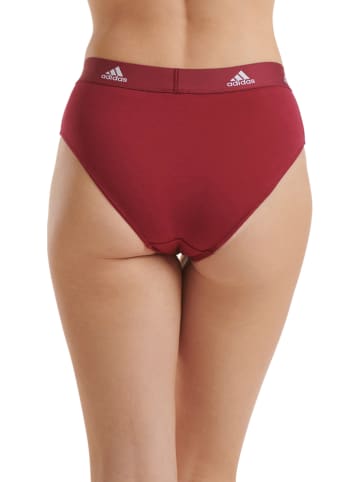 adidas Hipster bordeaux