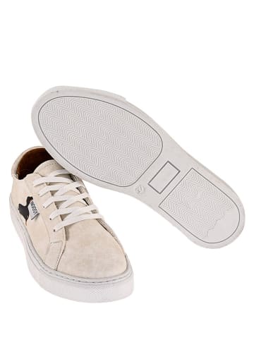 Noosy Sneakers beige