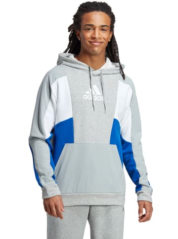 adidas Hoodie grijs