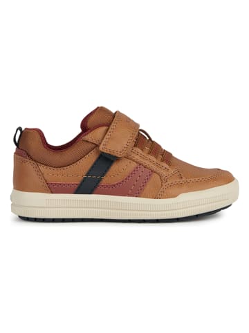 Geox Sneakers "Arzach" lichtbruin