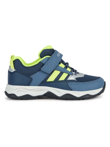 Geox Sneakers "Calco" donkerblauw/groen