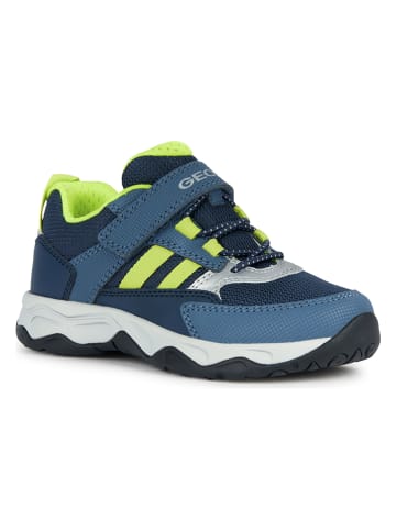 Geox Sneakers "Calco" in Dunkelblau/ Grün