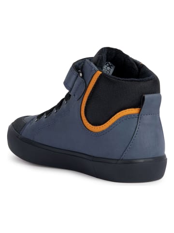 Geox Sneakers "Gisli" in Dunkelblau
