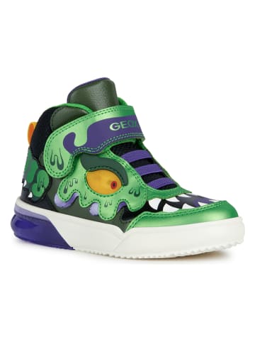 Geox Sneakers "Grayjay" in Schwarz/ Grün