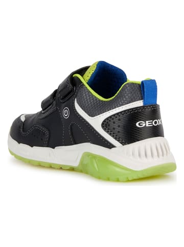 Geox Sneakers "Spaziale" in Schwarz/ Grün