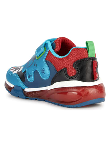 Geox Sneakers "Bayonyc" turquoise/rood