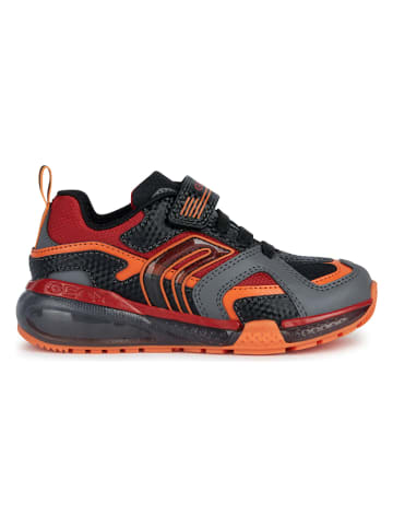 Geox Sneakers "Bayonyc" in Schwarz/ Orange