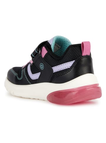 Geox Sneakers "Ciberdron" in Schwarz/ Pink