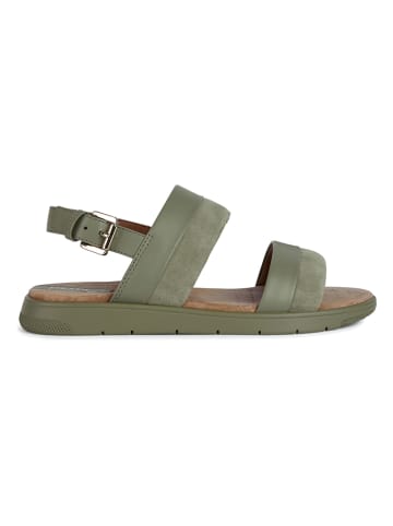Geox Sandały "Dandra" w kolorze khaki