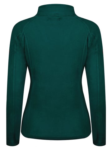 ANAPURNA Bluza polarowa "Tonneau" w kolorze zielonym
